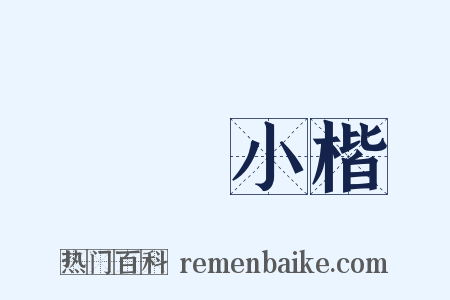 蠅頭小楷是什么意思的图片